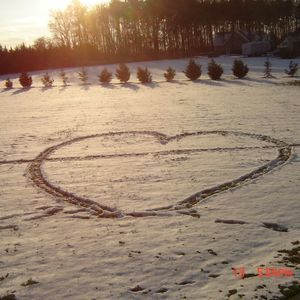 Meet your Posher, Bonnie